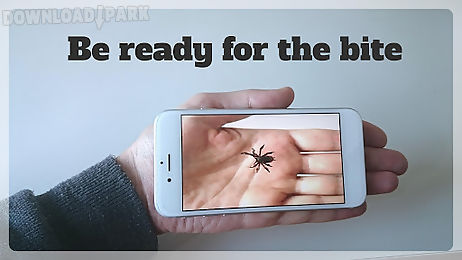 spider on hand prank