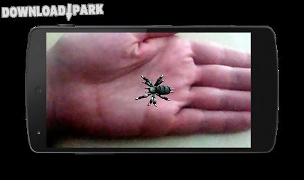 spider on hand prank