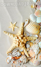 seashells live wallpaper