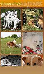 doggies slider photo puzzle