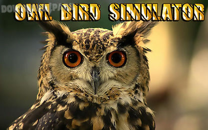 owl bird simulator