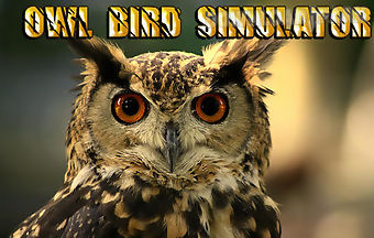 Owl bird simulator
