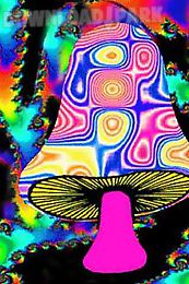 psychedelic mushroom lwp