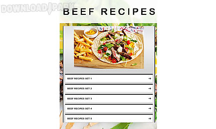 beef recipes 2
