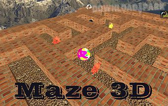 Maze 3d