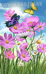 flowers and butterflies summer