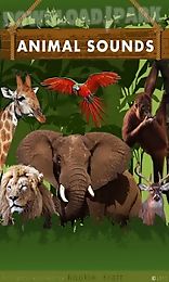 animal sounds for kids free