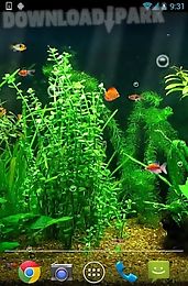 fishbowl hd live wallpaper