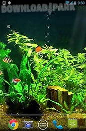 fishbowl hd live wallpaper