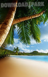 tropical beach live wallpaper