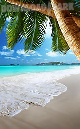 tropical beach live wallpaper