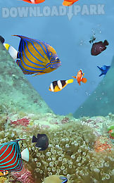 aquarium and fishes