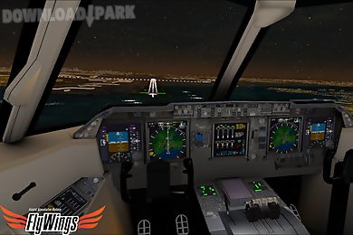 flight simulator night ny free