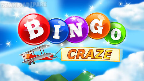 bingo craze