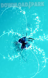 shiny butterfly live wallpaper