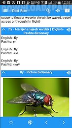 english pashto dictionary