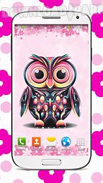 sweet owl live wallpaper