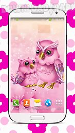 sweet owl live wallpaper