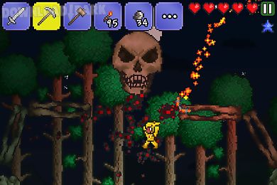 terraria.