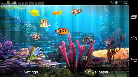 fish aquarium free