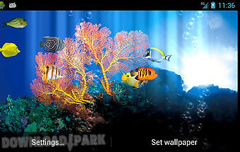 Fish aquarium free