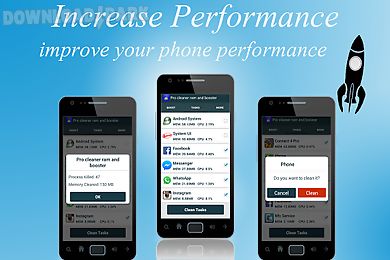 pro cleaner ram and booster