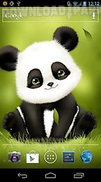 panda bobble head wallpaper
