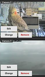 foscam ip camera viewer