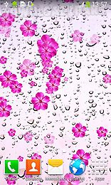 rainy day by live wallpapers free