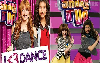 Shake it up fans puzzle