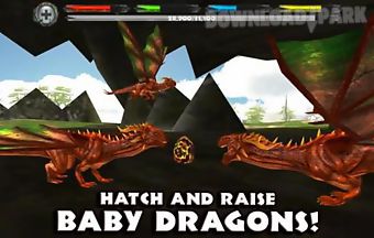World of dragons simulator custo..