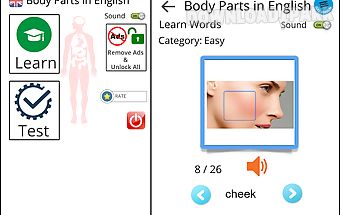 Learn body parts in english