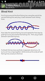 fishing knots