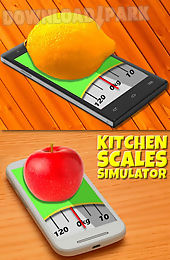 scale in grams simulator