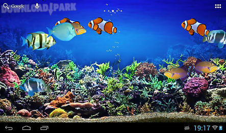 tropical fishes aquarium