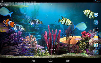 tropical fishes aquarium