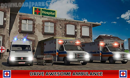 ambulance rescue: hill station