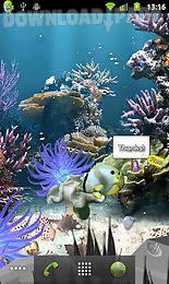 coral reef lite free aqua live