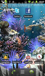 coral reef lite free aqua live