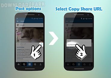 save insta images and videos
