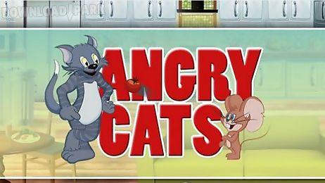 angry cats. cats vs mice