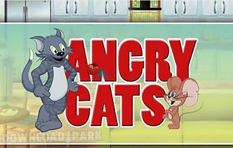 Angry cats. cats vs mice