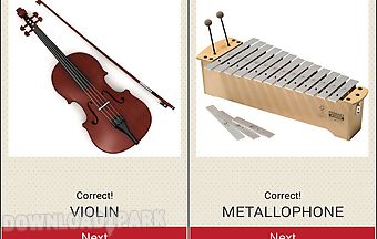 Musical instruments guess