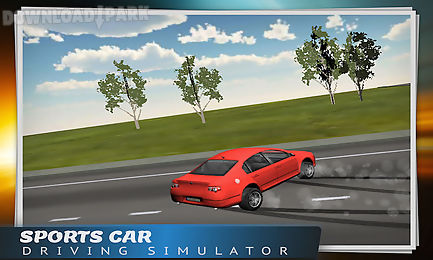 sports car driving simulator