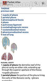 pocket atlas of anatomy tr