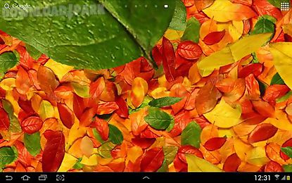 autumn leaves 3d