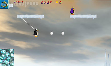 swinging penguin