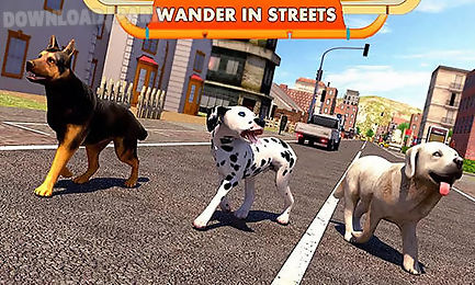street dog simulator 3d
