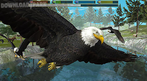 Ultimate bird simulator Android Game free download in Apk