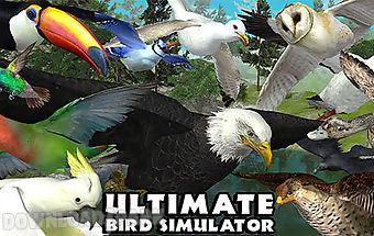 Ultimate bird simulator